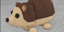 Hedgehog FR