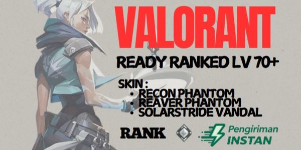 VALORANT ACCOUNT - PREMIUM SKIN - [ AP | PC ]
