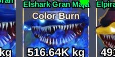 Color Burn Elshark Gran Maja