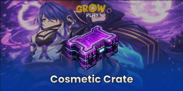 Cosmetic Crate