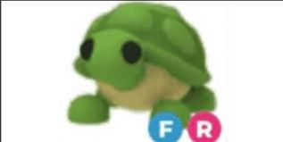 Turtle FR
