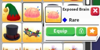 Exposed Brain (희귀 펫 착용 모자) Adopt Me - AdoptmeStore14