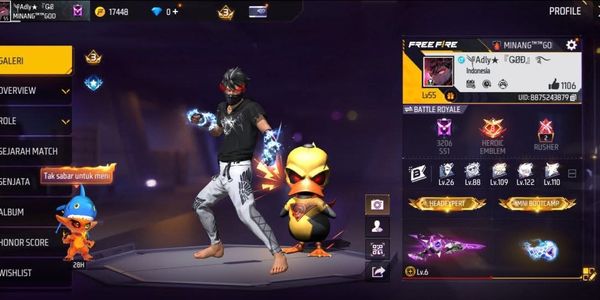Cheapest FF account suitable for gaming, luxurious bundle | Safe guarantee!