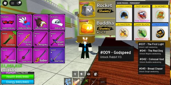 Account Blox Fruits Dark Blade (Detailed Description)