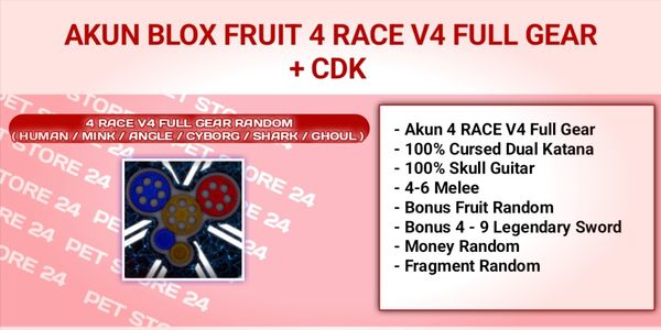 Blox Fruit Account - 4 Race V4 Full Gear CDK
