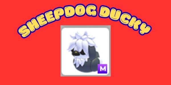 SHEEPDOG DUCKY - MEGA