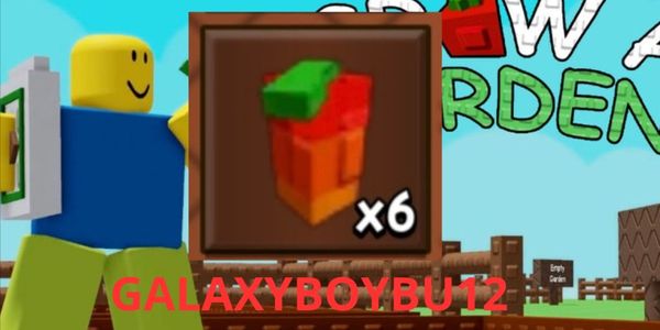 1 MANGO SEED