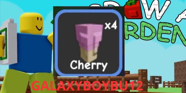 CHERRY SEED