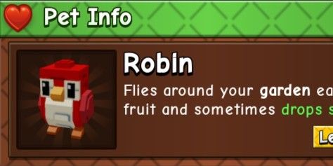 Robin