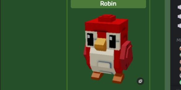 Robin