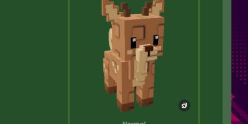 Deer