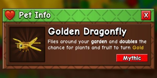 Golden Dragonfly