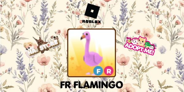 Flamingo FR