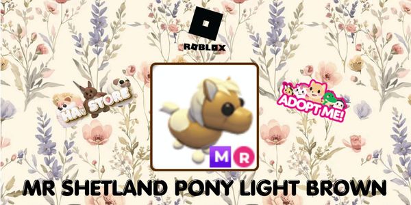 Shetland Pony Light Brown MR