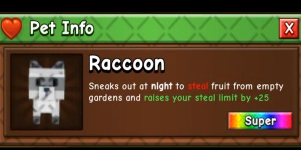 Raccoon