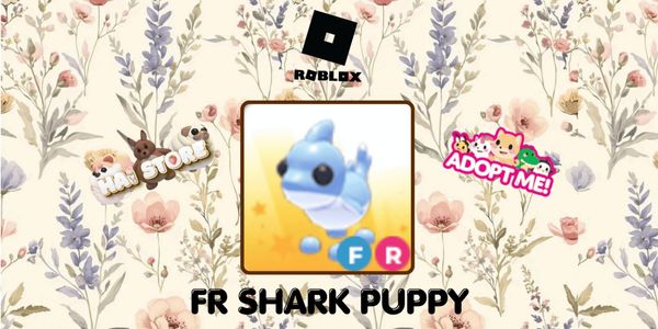 Shark Puppy FR