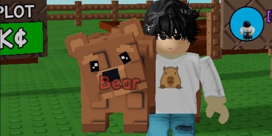 BEAR