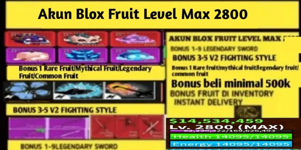 BLOX FRUIT LEVEL MAX ACCOUNT LOTS OF BONUSES