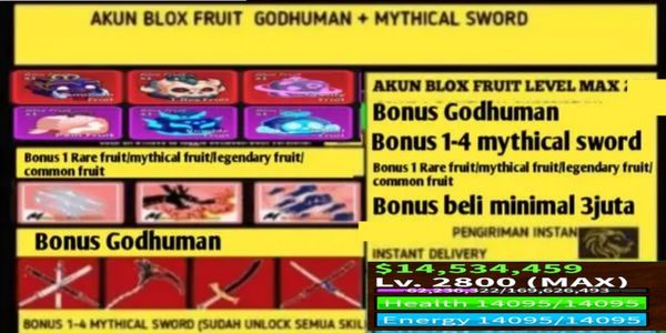 Blox Fruit Godhuman+Mythical Sword Account (Level Max)