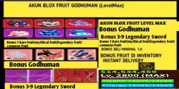 BLOX FRUIT GODHUMAN ACCOUNT LEVEL MAX LOTS OF BONUSES