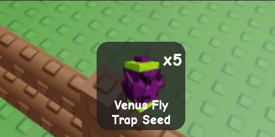 Venus Fly Trap