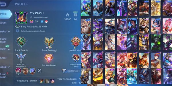 حساب Mobile Legends رخيص قوي [2282] بطل 132 زي 206