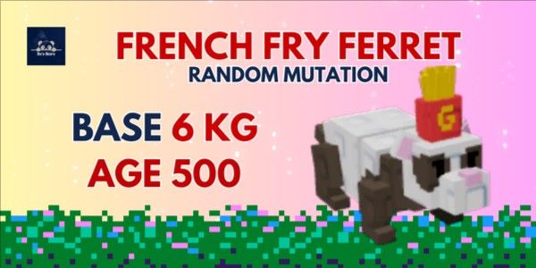 French Fry Ferret