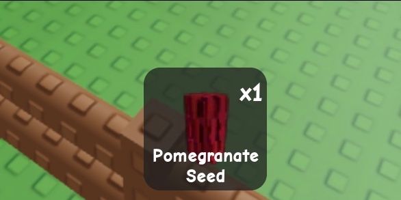 Pomegranate
