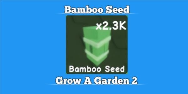 Bamboo