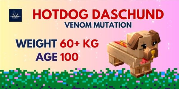 Hotdog Daschund