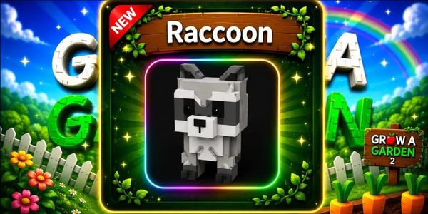 Raccoon