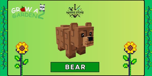 Bear