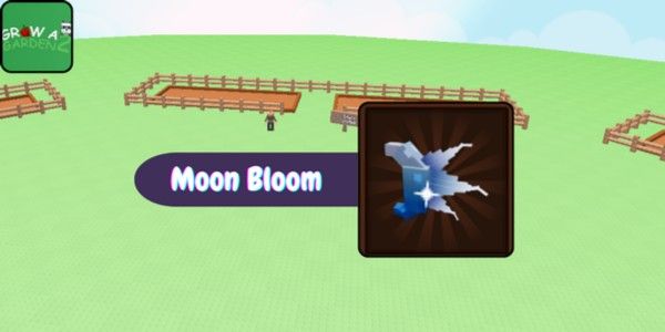 Moon Bloom
