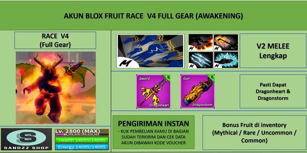 Akun Blox Fruit Race Draco V4 Full Gear (Awakening) [Level MAX]