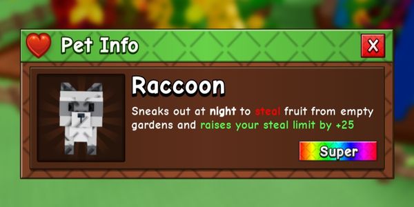 Raccoon