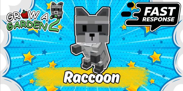 Raccoon