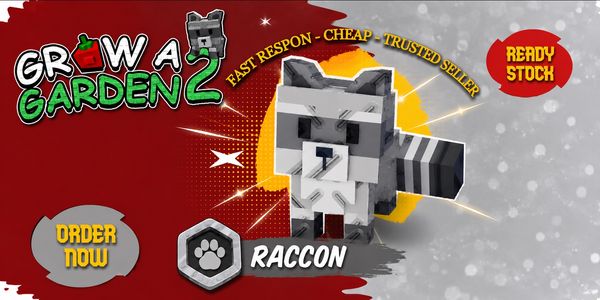 Raccoon