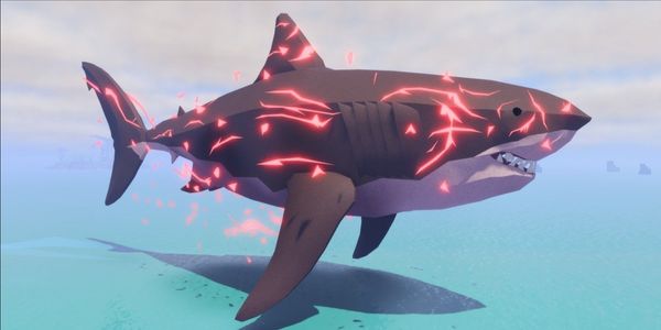 Megalodon