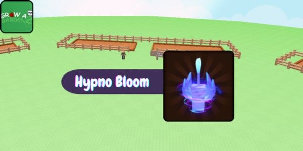 Hypno Bloom