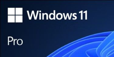 Microsoft Windows 11 Professional - 1 Device Lifetime