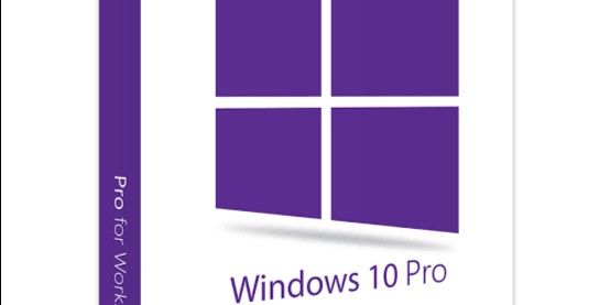 Microsoft Windows 10 Professional - 1 Device Lifetime