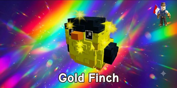 Gold Finch