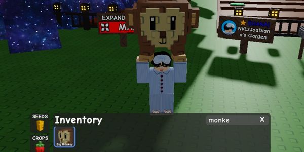 Big Monkey