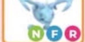 Frost Dragon NFR