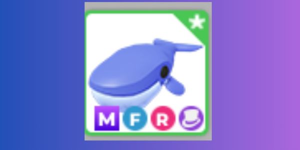 Blue Whale MFR