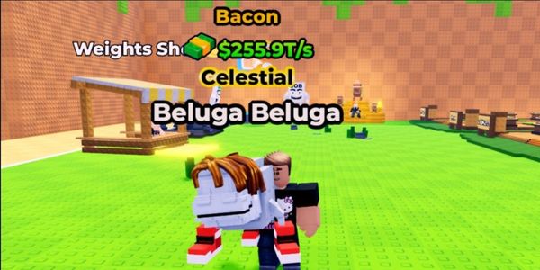 Beluga Beluga (Bacon) || 255.9T