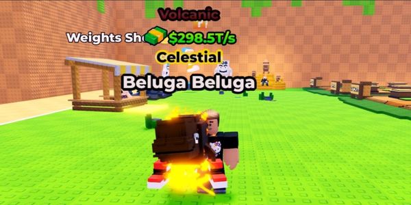 Beluga Beluga (Volcanic) || 298.5T