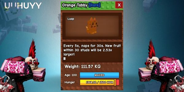 TITAN ORANGE TABY LEVEL 100 WEIGHT 110kg ++