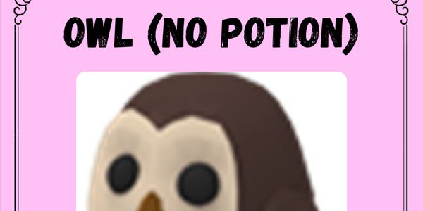 Owl