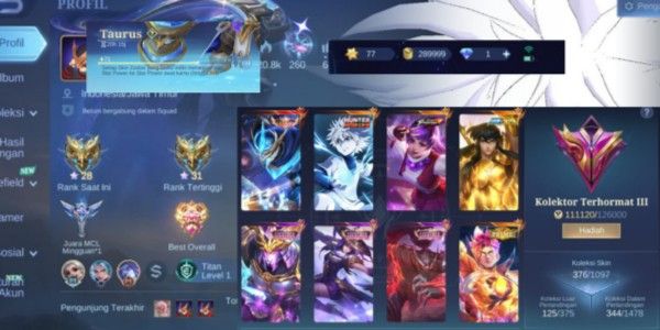 RESPECTED COLLECTOR ACCOUNT III SAFETY, SUITABLE FOR JUNG OR GOLD, ZODIAC SOON #124